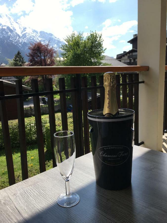 Apartament Z Widokiem Na Mt Blanc Apartman Chamonix Kültér fotó